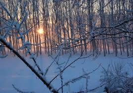CHIUSURA SCUOLA PER AVVERSE  CONDIZIONI METEOROLOGICHE