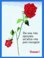 INCONTRO-DIBATTITO SUL VALORE DELLA DONAZIONE DEGLI ORGANI: SURVIVAL  IS  NOT  ENOUGH